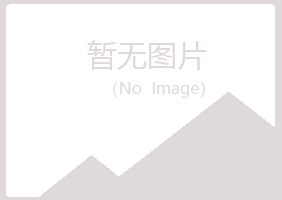 加查县夏岚采矿有限公司